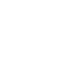 LOGO_assets-costco