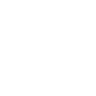 LOGO_assets-food-maxx