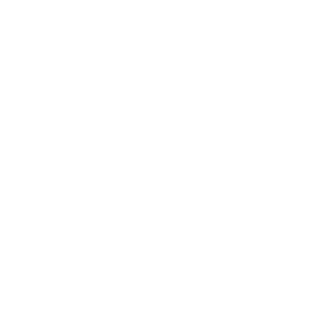 LOGO_assets-menards-max