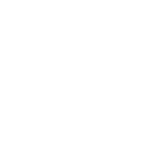 LOGO_assets-stater-bros